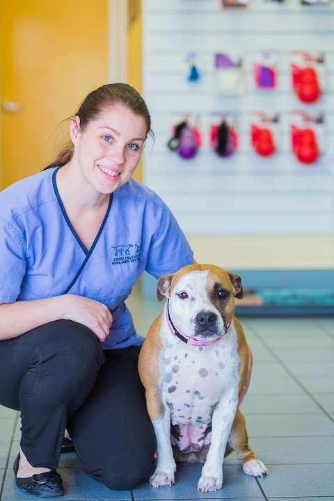 Photo: Fernlands Veterinary Practice
